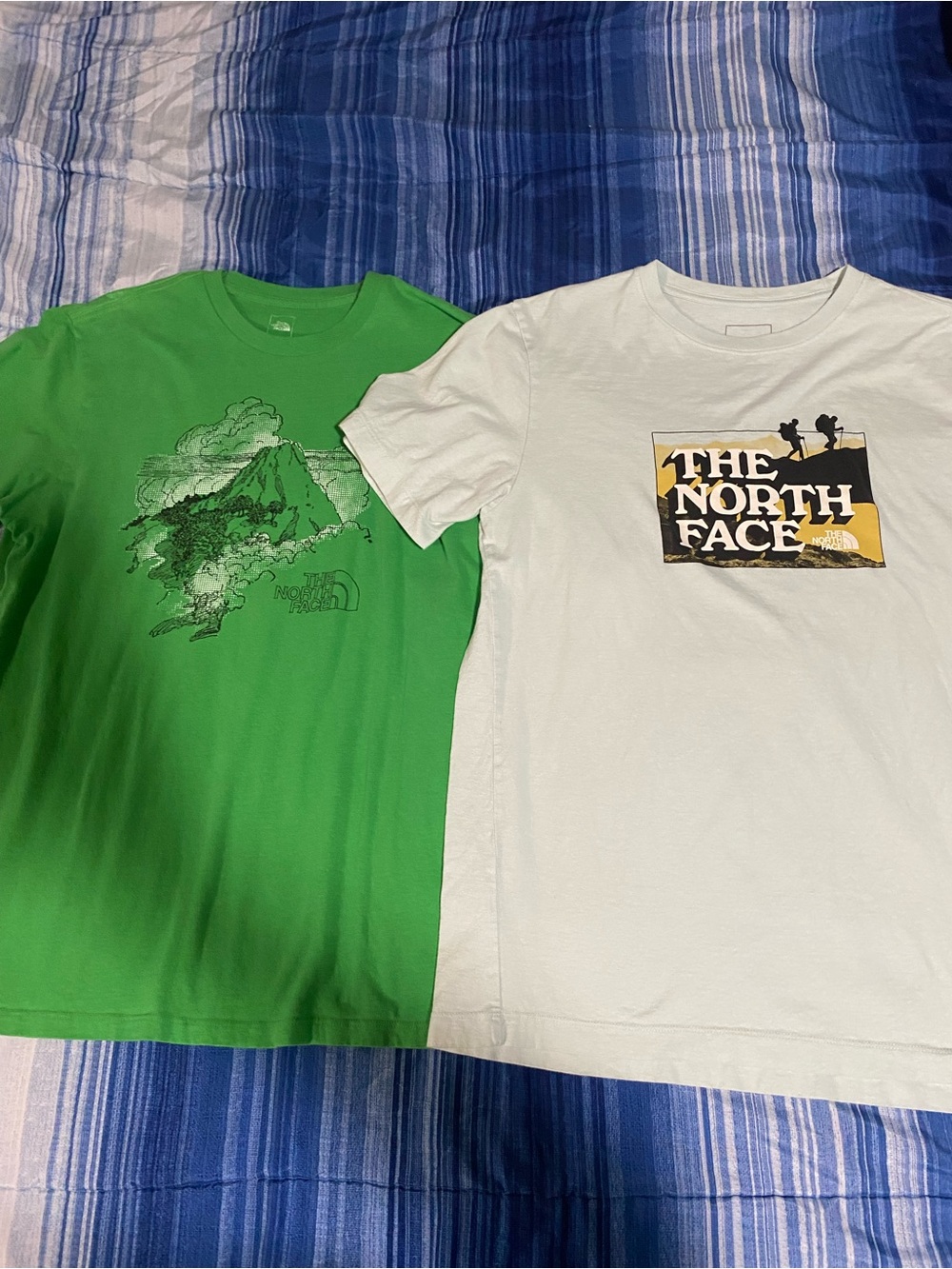 The North Face Men’s Green Logo Graphic Tees